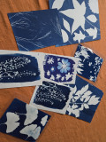 image-cyanotype-13164