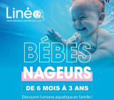 lineo-tract-bb-nageur-wormhout