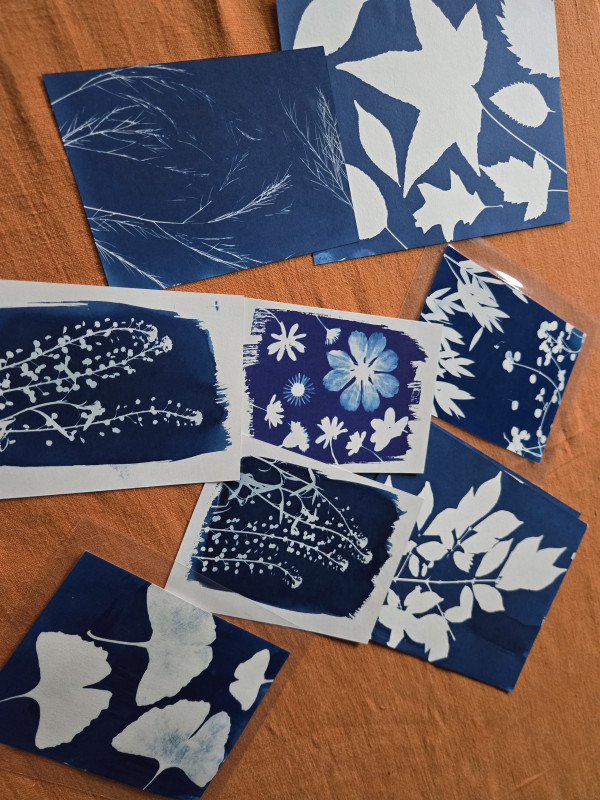 image-cyanotype-13164