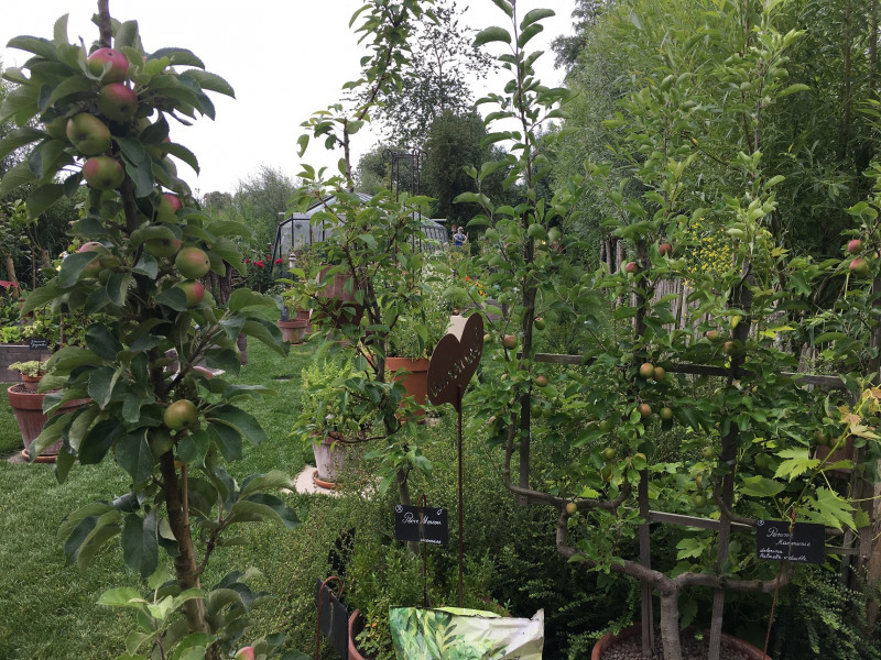 jardin-7-boulnois-guy-12552